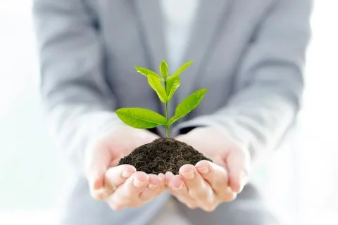 Ekachai1824 Stock Photos