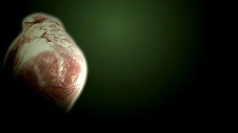 EKG 스톡 동영상 309902