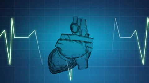 EKG Pulse Trace with Human Heart | Loopable Stock Footage 234933609