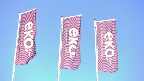 Eko flags Stock Footage 283783981