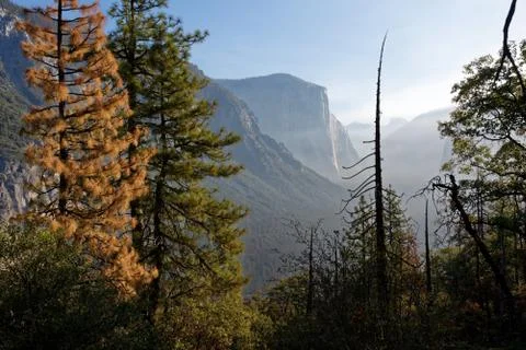 El Capitain, Yosemite Stock Photos