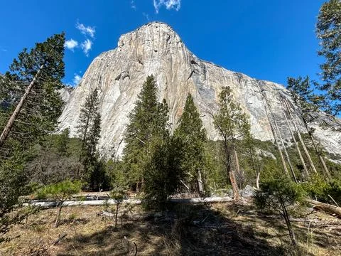 El Capital Stock Photos