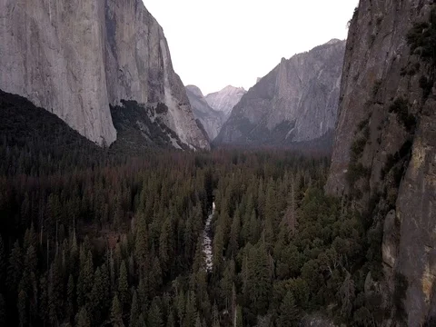 El Capitan and Merced River, Yosemite National Park - California Vidéo 81932045