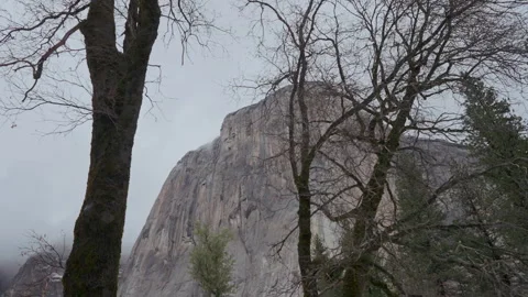 El Capitan granite monolith through trees in Yosemite Valley Stock-Footage 348052017