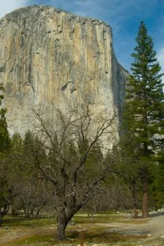 El capitan Foto stock