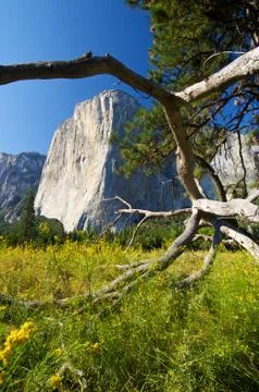 El Capitan Фото