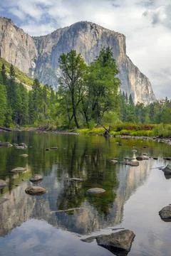 El Capitan with Reflection in the Merced River in Yosemite National Park Stock Photos