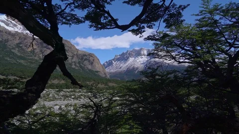 El Chalten mountains and tree silhouette Stock Footage 73220075