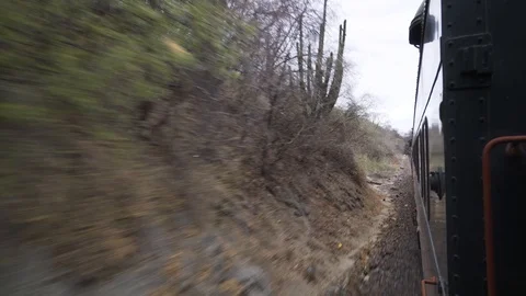 El Chepe - A legendary train going from Los Mochi to Chihuahua. Stock Footage 110738404