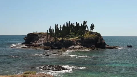 El Choyudito Beach 스톡 동영상 224727775