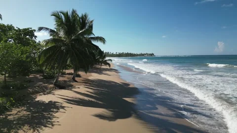 El limon beach ocean palms 12 Stock Footage 329574663