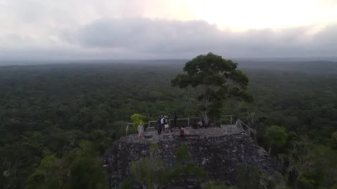 El Mirador Stock Footage 245988929