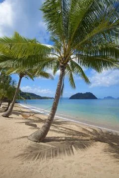 El Nido Stock Photos