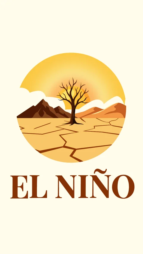 El Nino Climate Change Concept with Drought Landscape and Cracked Dry Earth Stock-Footage 338362490