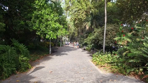El Parque de Málaga. Video stock 317249418