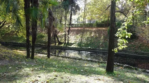 El Retiro Park, Madrid Stock Footage 293739681