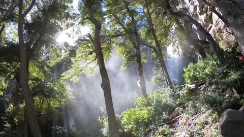 El Saltillo waterfall. Camera stays still while water falls Video stock 91564645