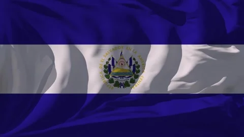 El Salvador Flag Loop Stock Footage 295714803