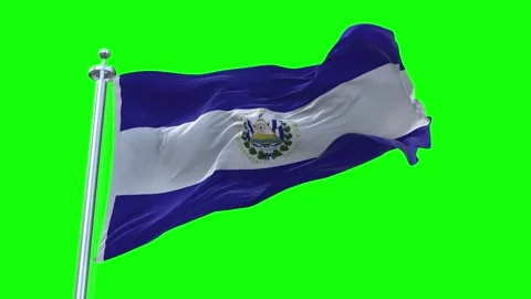 El Salvador Flag Waving in Loopable and Textured green screen background Stock Footage 296876638