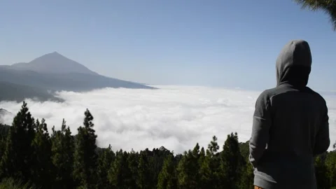 El Teide Tenerife mountain forest sunny sky beautiful view clouds girl 3 Stock Footage 142711368