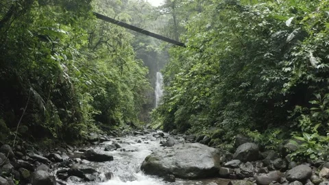 El Tigre Waterfall 動画素材 137964198