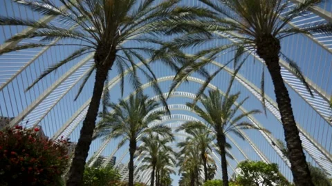 El Umbracle Video stock 279237932