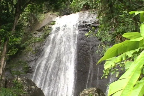 El Yunque Falls-tilt Stock Footage 817409