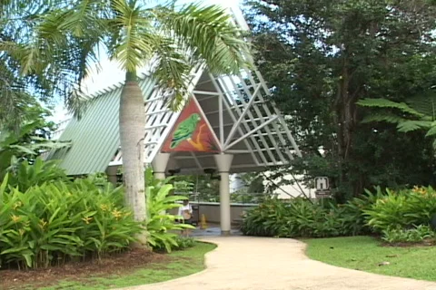 El Yunque House Stock Footage 817412