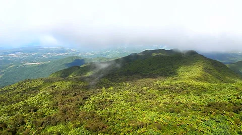 El Yunque National Forest Puerto Rico 動画素材 51895553