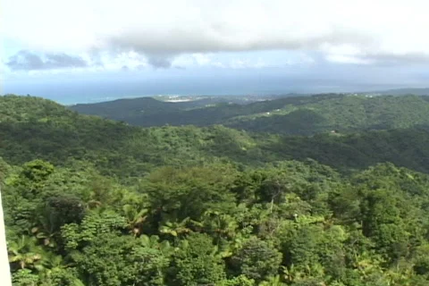 El Yunque-pan Stock Footage 817417
