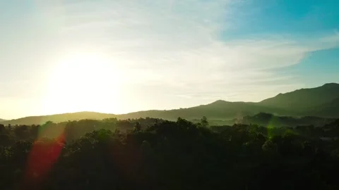 El Yunque Rainforest Stock Footage 272161772