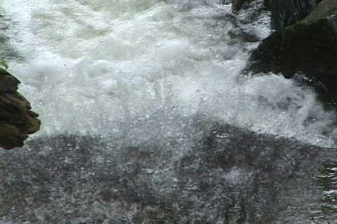El Yunque Stream-zoom Video stock 817414