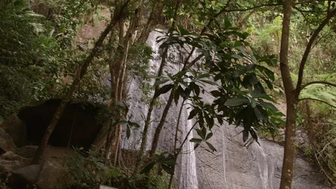 El Yunque waterfall Stock Footage 88225828