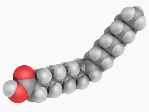 Elaidic acid molecule Stock Illustration