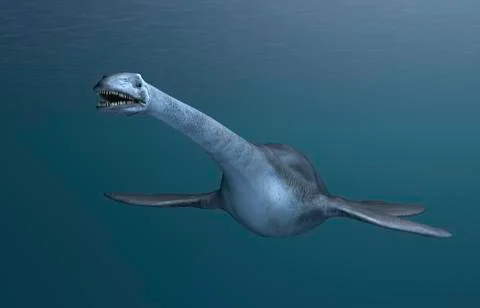 Elasmosaurus Stock Illustration