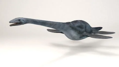 Elasmosaurus Stock Illustration