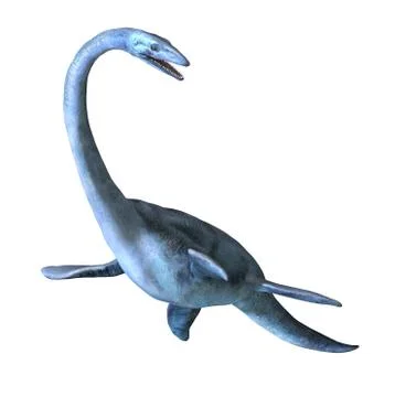 Elasmosaurus Stock Illustration