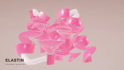 Elastin skin elasticity protein coil structure rotating loop Stock-Footage 343822435
