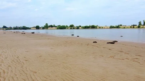 The Elbe in Lower Saxony with banks Stock Footage 244446529