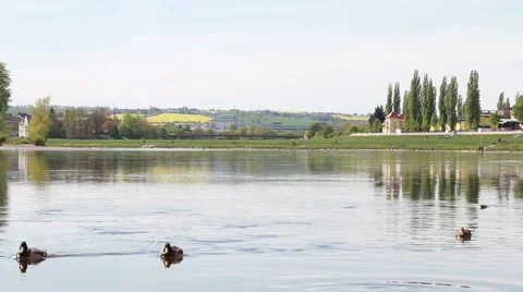 Elbe River landscape Stock Footage 40032330