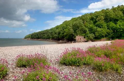 Elberry cove, devon Stock Photos