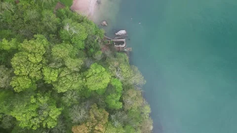 Elberry Cove, S. Devon, England: DRONE VIEWS: The sea &amp; trees; beach &amp; fields Stock Footage 240543773