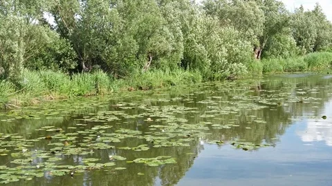 Elblag canal nature, Poland. Tourists attraction Stock Footage