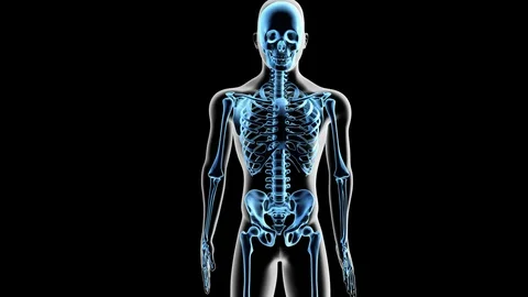 Elbow Anatomy Labeled Video stock 112579278