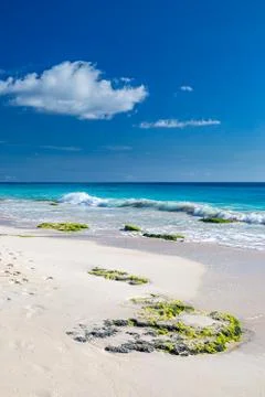 Elbow Beach, Bermuda Stock Photos