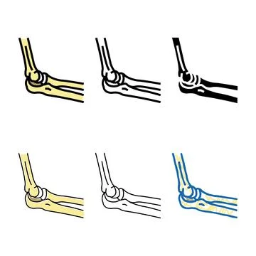 Elbow bone color types icon vector Stock Illustration