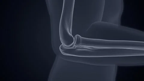 Elbow joint X-ray of 3D illustration Stock Illustration
