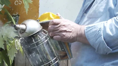 Elder beekeeper using a bee hive smoker. Stock Footage 155238727