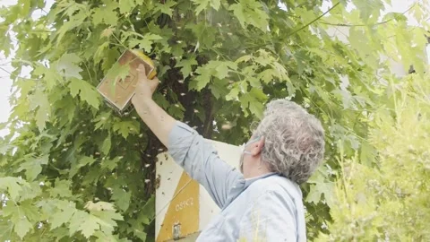 Elder beekeeper using a bee hive smoker. Stock-Footage 155238805