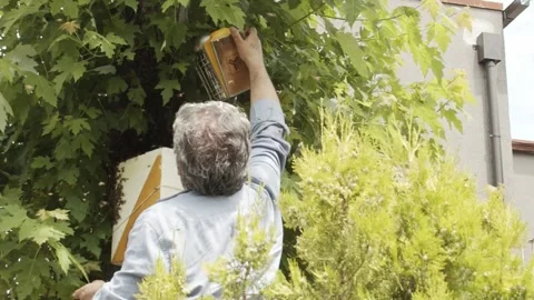 Elder beekeeper using a bee hive smoker. Stock Footage 155238806